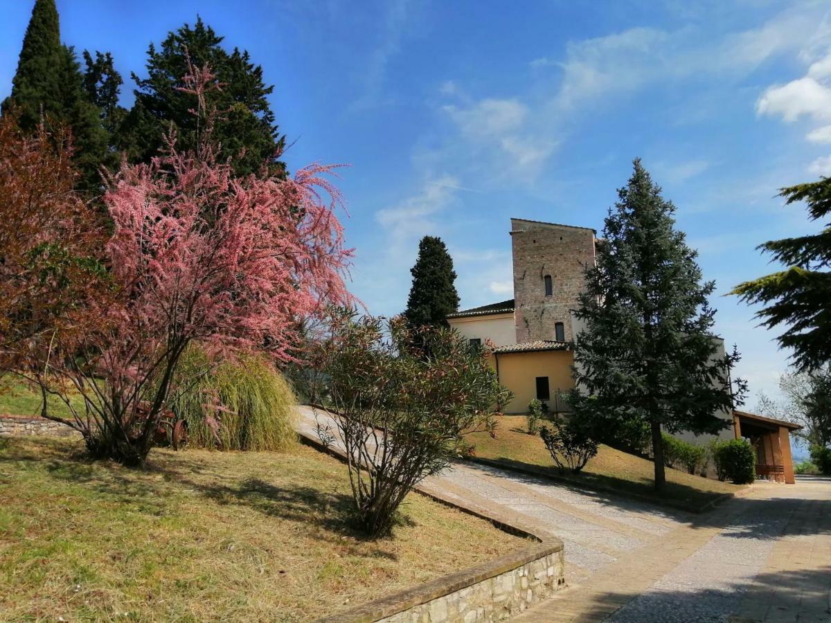 Villa Casa Per Ferie Ulivo D'Assisi Exterior foto